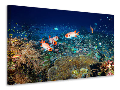 modern-4-piece-canvas-print-reef-lifeii