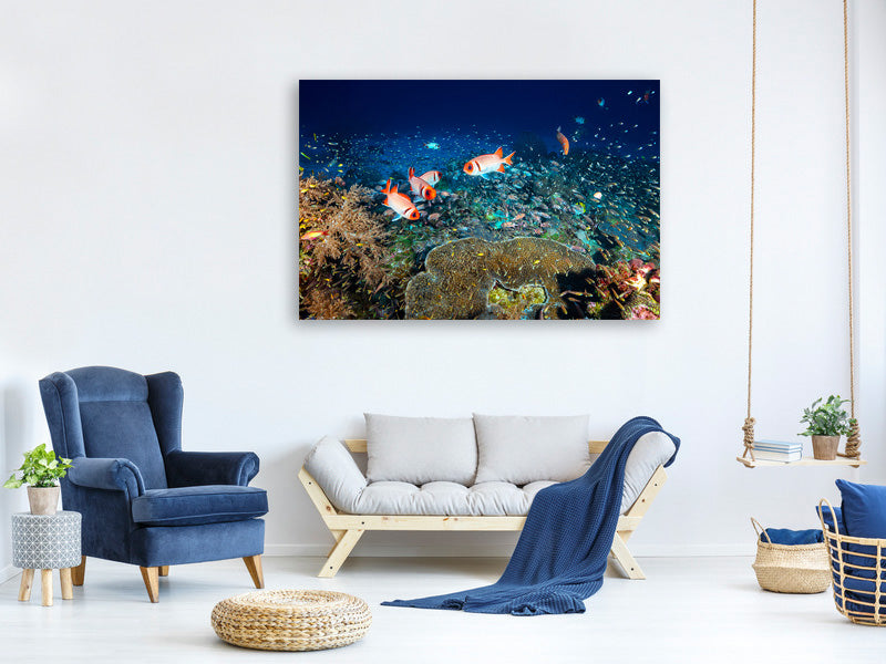 3-piece-canvas-print-reef-lifeii