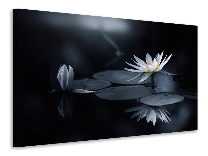 panoramic-canvas-print-reflection-iv