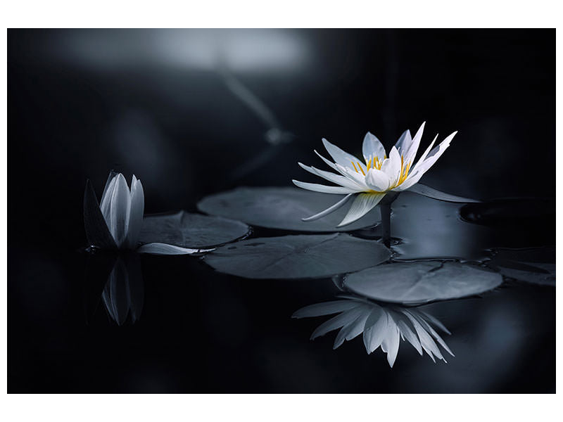 4-piece-canvas-print-reflection-iv