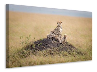 modern-3-piece-canvas-print-regal-protector