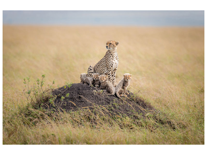 modern-4-piece-canvas-print-regal-protector