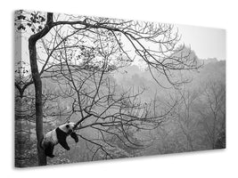 5-piece-canvas-print-relax
