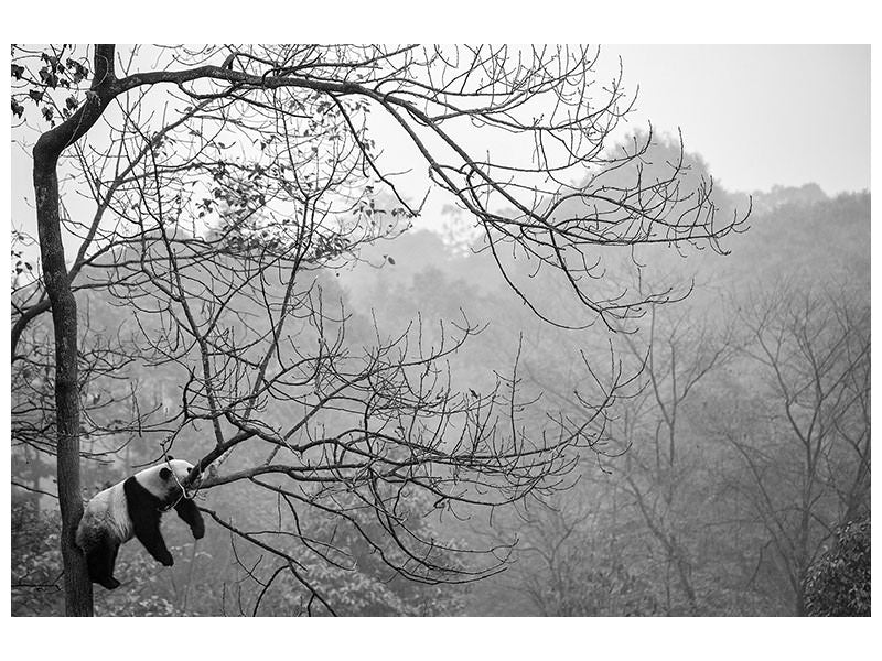 4-piece-canvas-print-relax