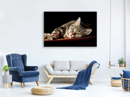 5-piece-canvas-print-relaxed-cat