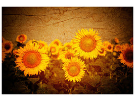 5-piece-canvas-print-retro-sunflower