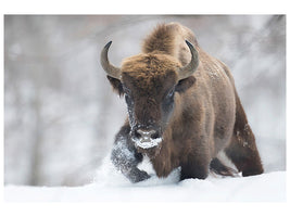 3-piece-canvas-print-rewilded