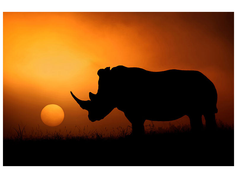 5-piece-canvas-print-rhino-sunrise