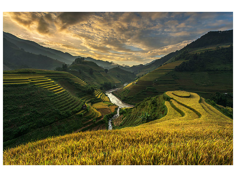 modern-4-piece-canvas-print-riceterrace