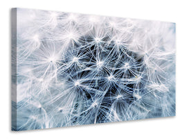 panoramic-3-piece-canvas-print-ripe-dandelion-close-up