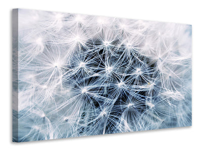 modern-3-piece-canvas-print-ripe-dandelion-close-up