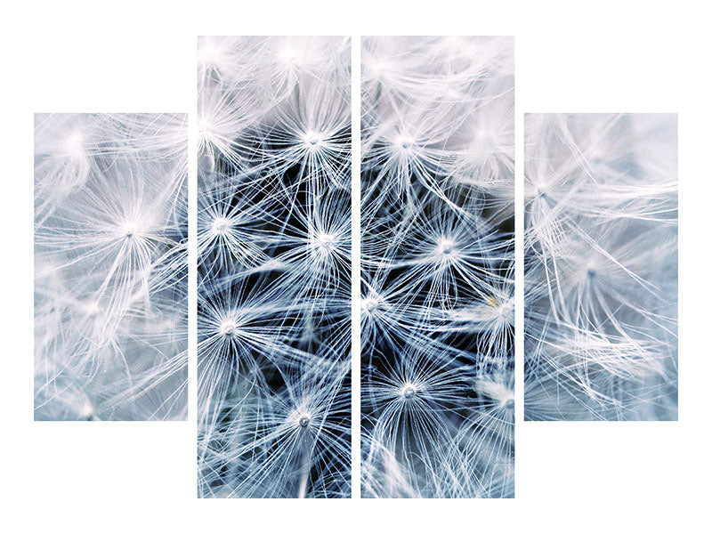 3-piece-canvas-print-ripe-dandelion-close-up