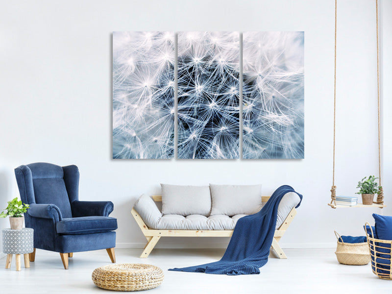 panoramic-canvas-print-ripe-dandelion-close-up