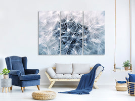 canvas-print-ripe-dandelion-close-up