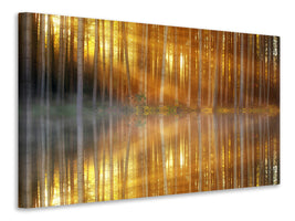3-piece-canvas-print-romantic-mood-in-the-forest