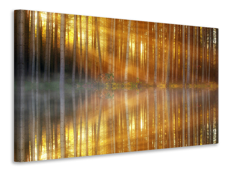 modern-3-piece-canvas-print-romantic-mood-in-the-forest