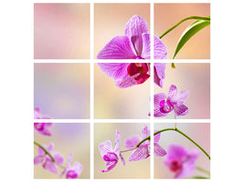 canvas-print-romantic-orchids
