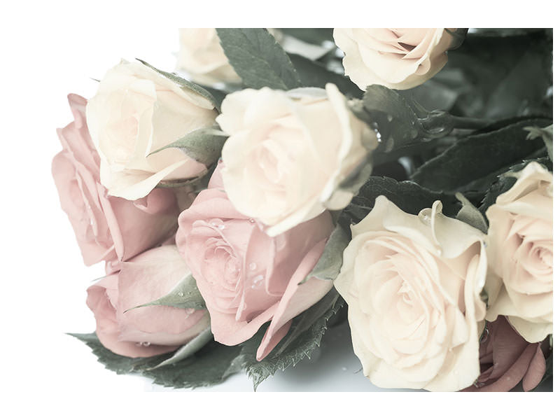 5-piece-canvas-print-romantic-rose