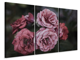 modern-3-piece-canvas-print-romantic-roses