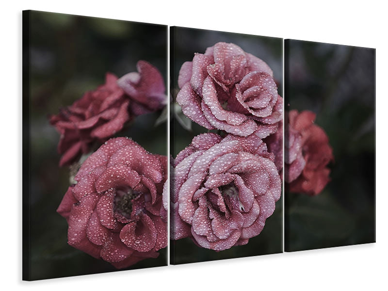 modern-4-piece-canvas-print-romantic-roses