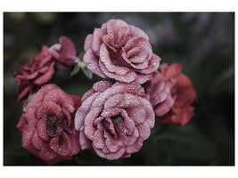 modern-3-piece-canvas-print-romantic-roses