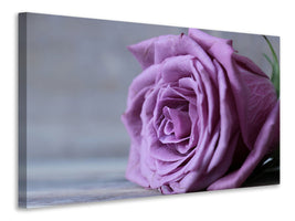 3-piece-canvas-print-rose-in-purple-xxl