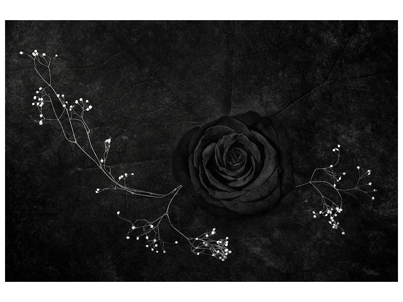 modern-4-piece-canvas-print-rose-noire