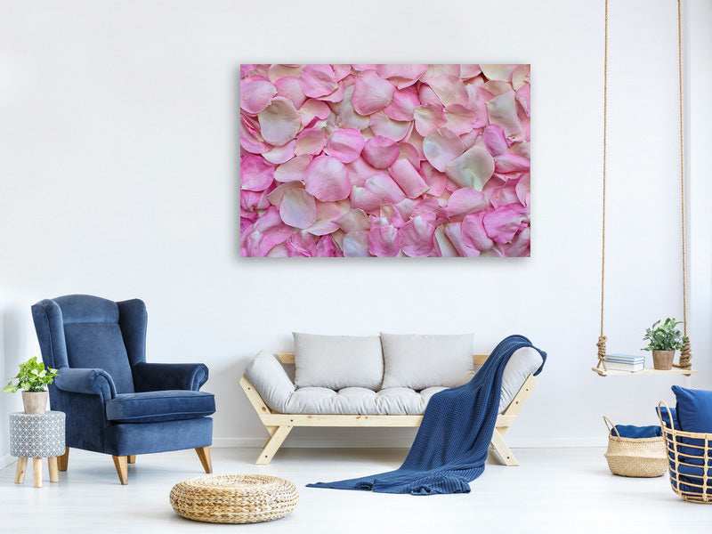 3-piece-canvas-print-rose-petals-in-pink-ii