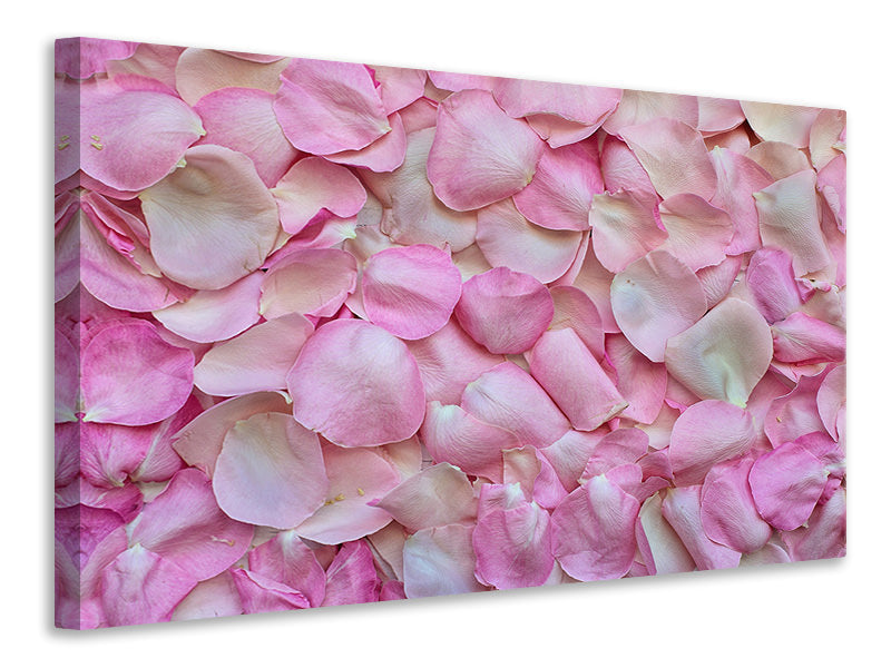 modern-4-piece-canvas-print-rose-petals-in-pink-ii