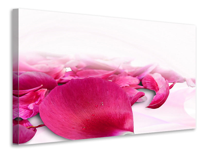 3-piece-canvas-print-rose-petals-in-pink-iii