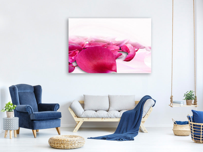 modern-4-piece-canvas-print-rose-petals-in-pink-iii