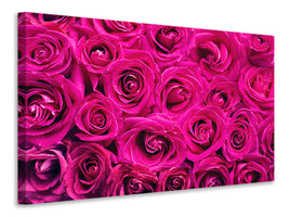 modern-3-piece-canvas-print-rose-petals-in-pink