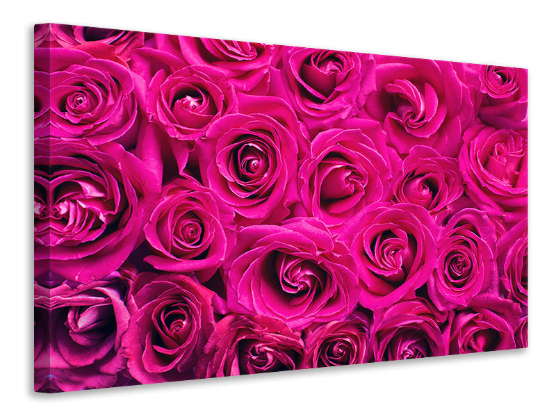 modern-3-piece-canvas-print-rose-petals-in-pink