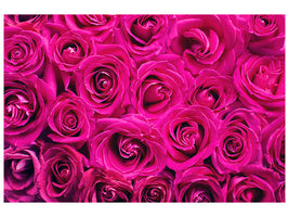 panoramic-canvas-print-rose-petals-in-pink
