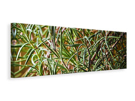 panoramic-3-piece-canvas-print-rosemary-xxl