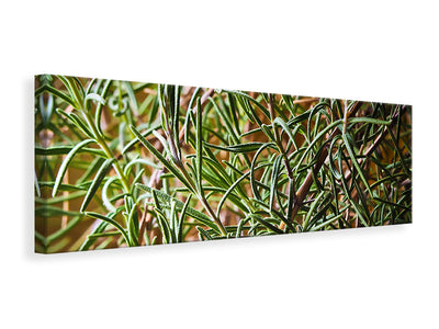 modern-4-piece-canvas-print-rosemary-xxl