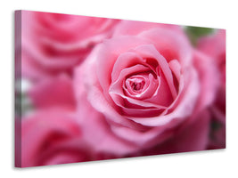 4-piece-canvas-print-roses-macro