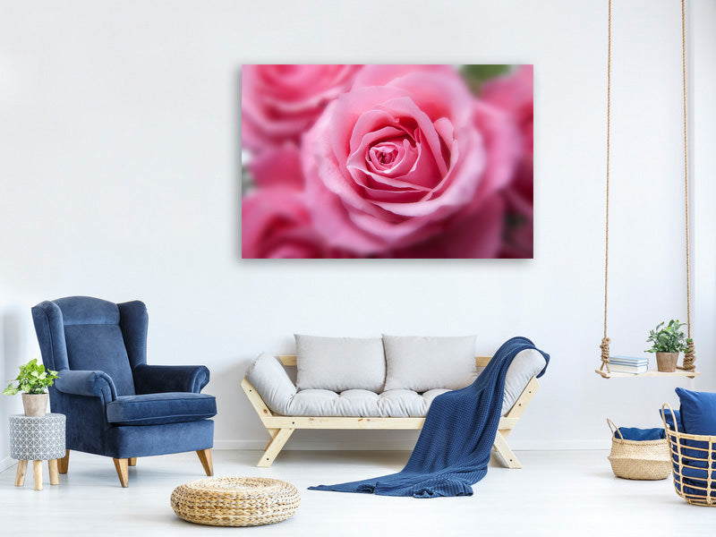 4-piece-canvas-print-roses-macro