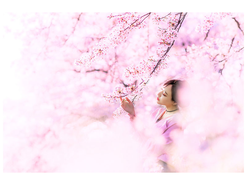 4-piece-canvas-print-sakura
