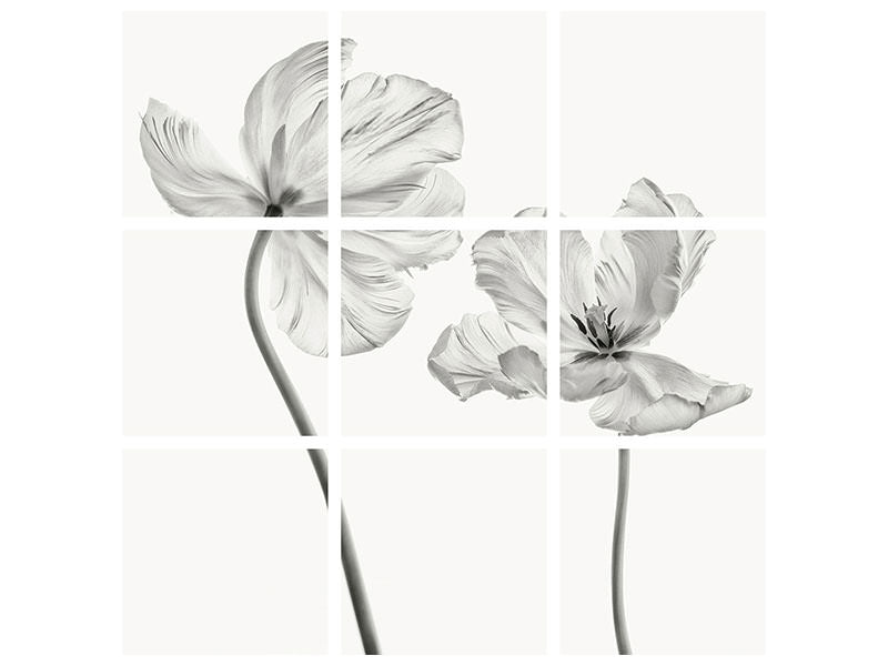 canvas-print-same-tulip-front-and-backview