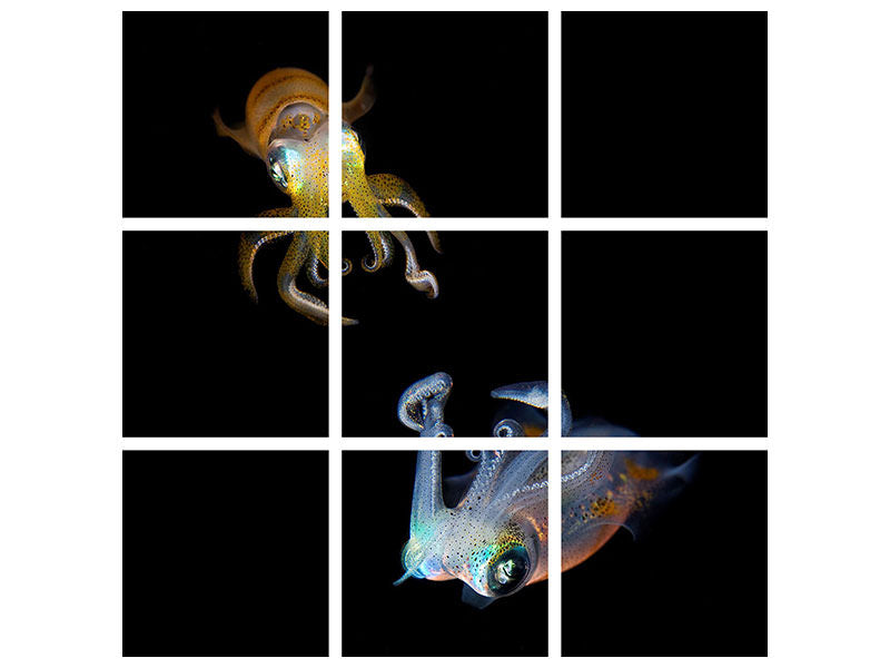 4-piece-canvas-print-sea-jewels