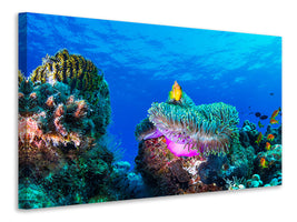 4-piece-canvas-print-sea-life