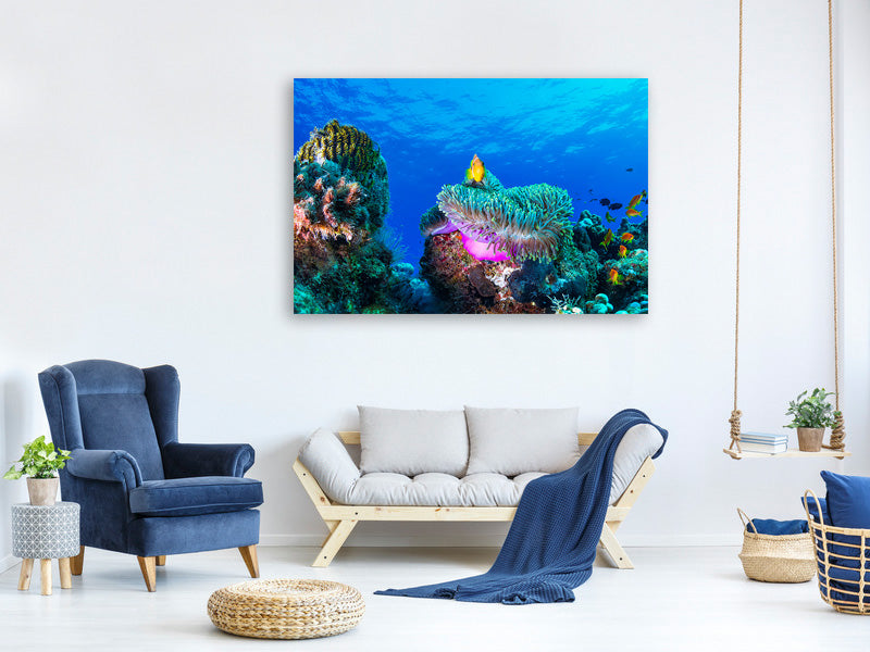 3-piece-canvas-print-sea-life