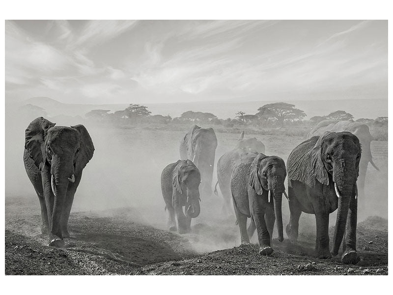 3-piece-canvas-print-sequence-of-emotion