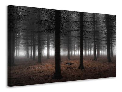 panoramic-canvas-print-silence-ii