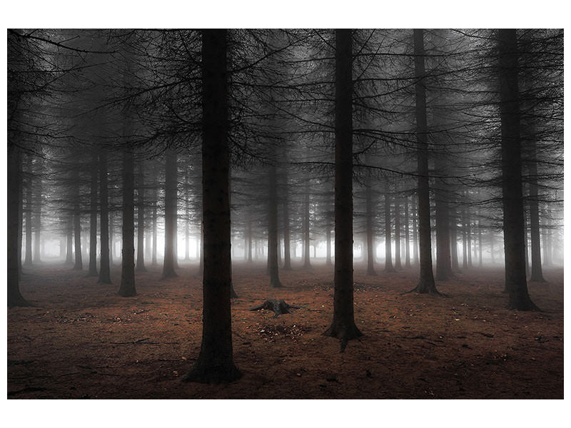 modern-3-piece-canvas-print-silence-ii