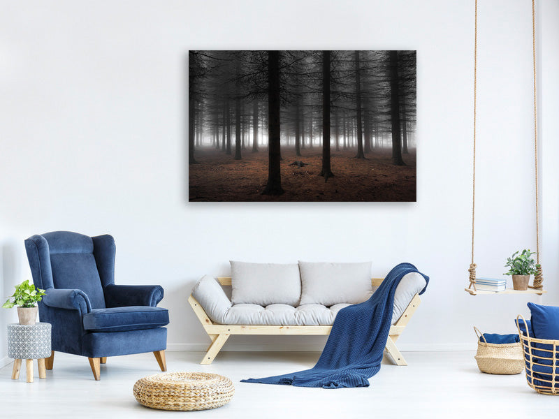panoramic-canvas-print-silence-ii