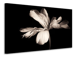 panoramic-3-piece-canvas-print-simplicity