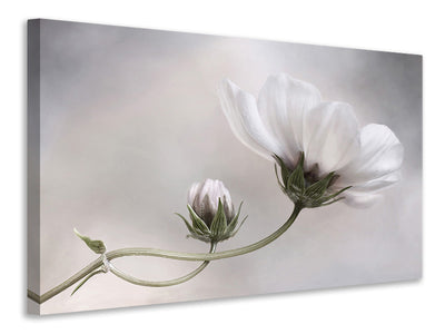 modern-3-piece-canvas-print-simply-cosmos