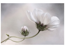 panoramic-3-piece-canvas-print-simply-cosmos